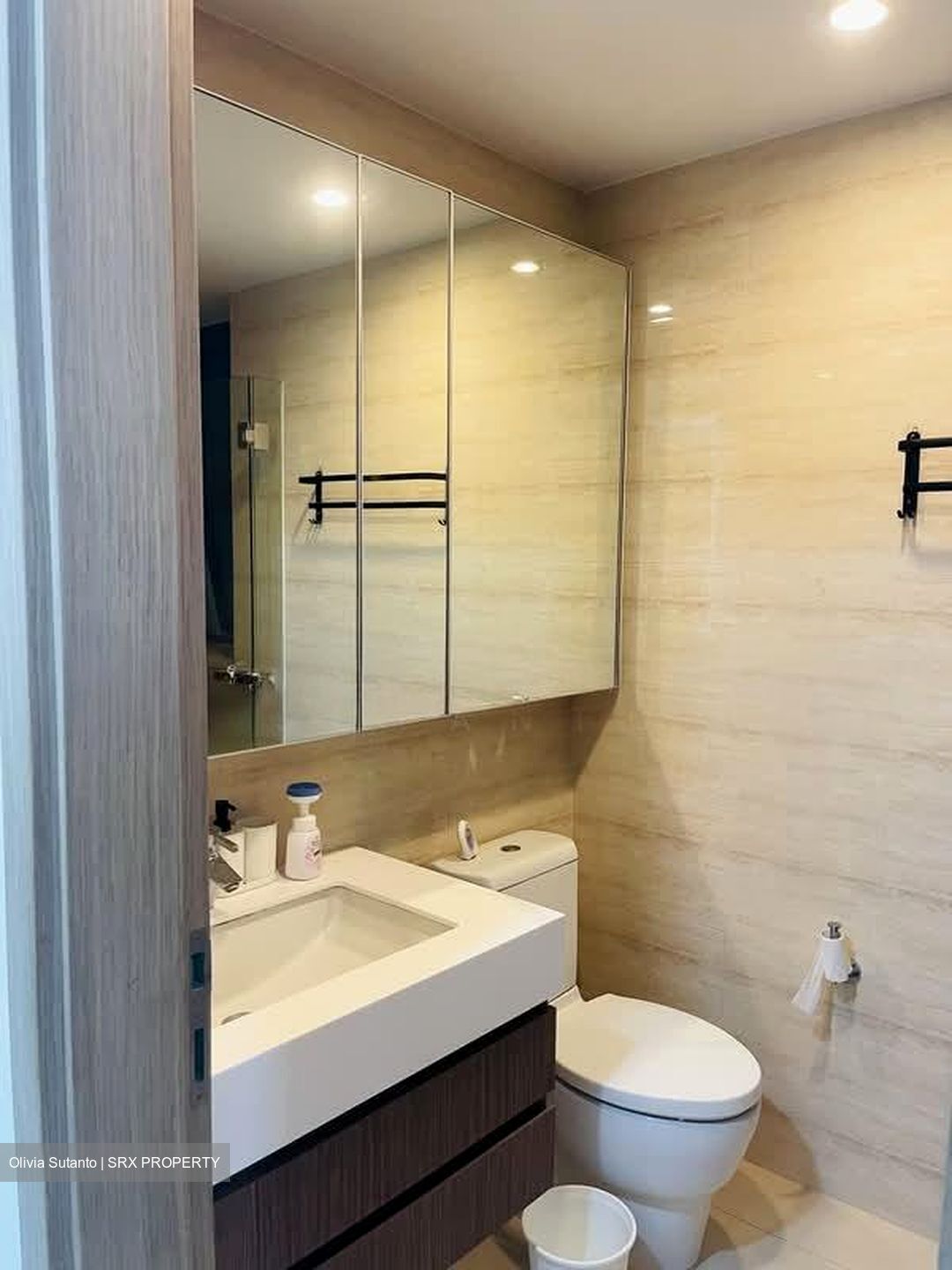 The Palette (D18), Condominium #581739781